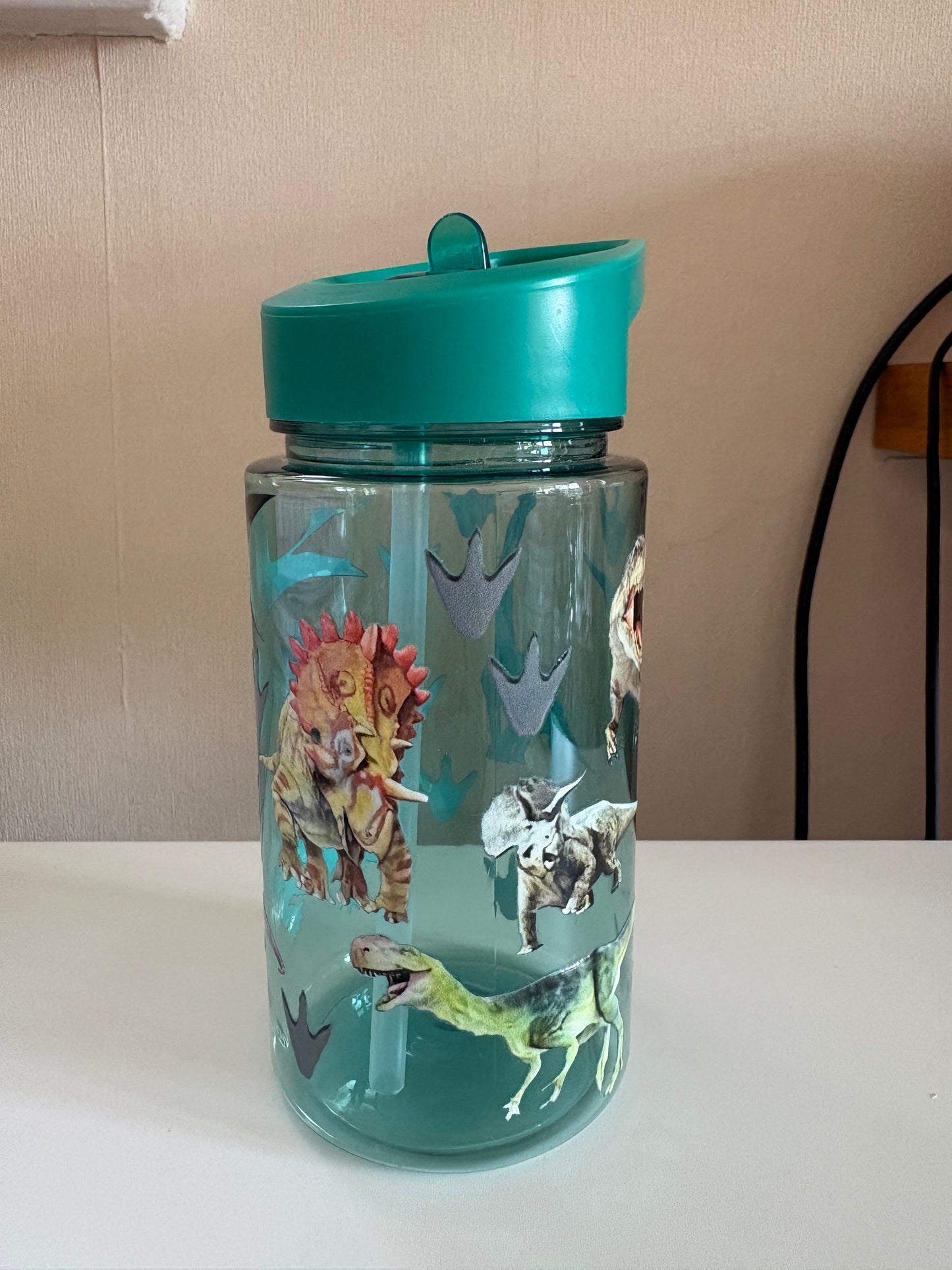 Kids Dinosaur Cup
