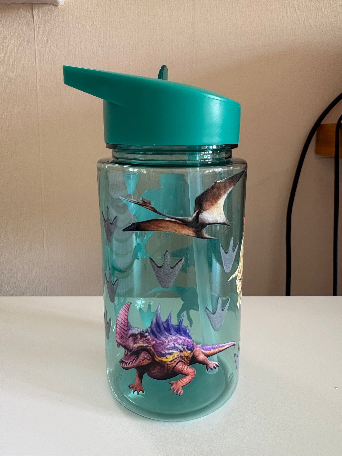 Kids Dinosaur Cup
