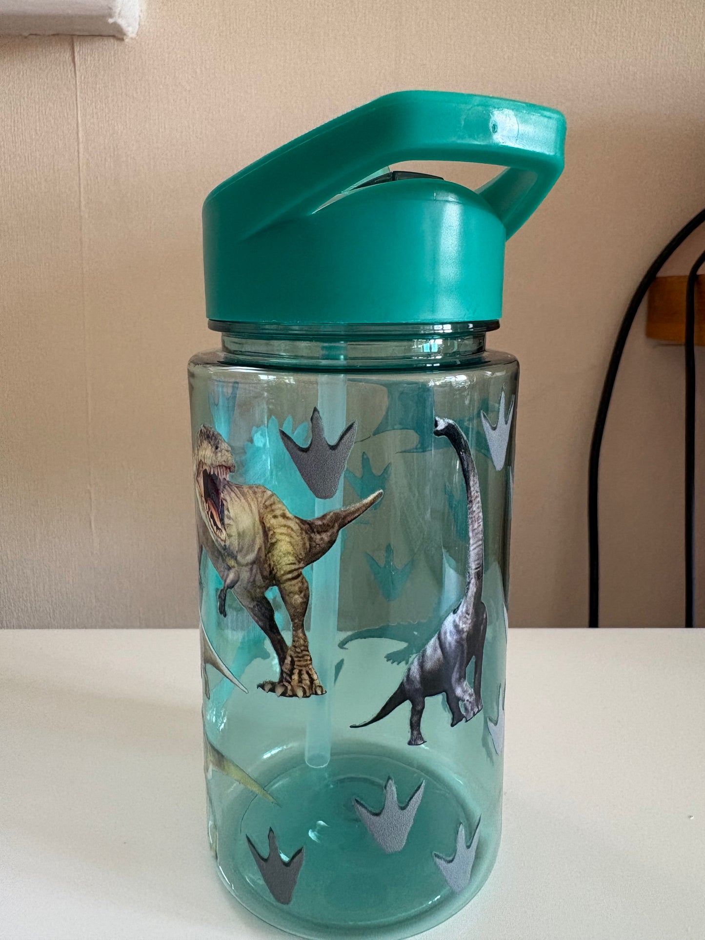 Kids Dinosaur Cup