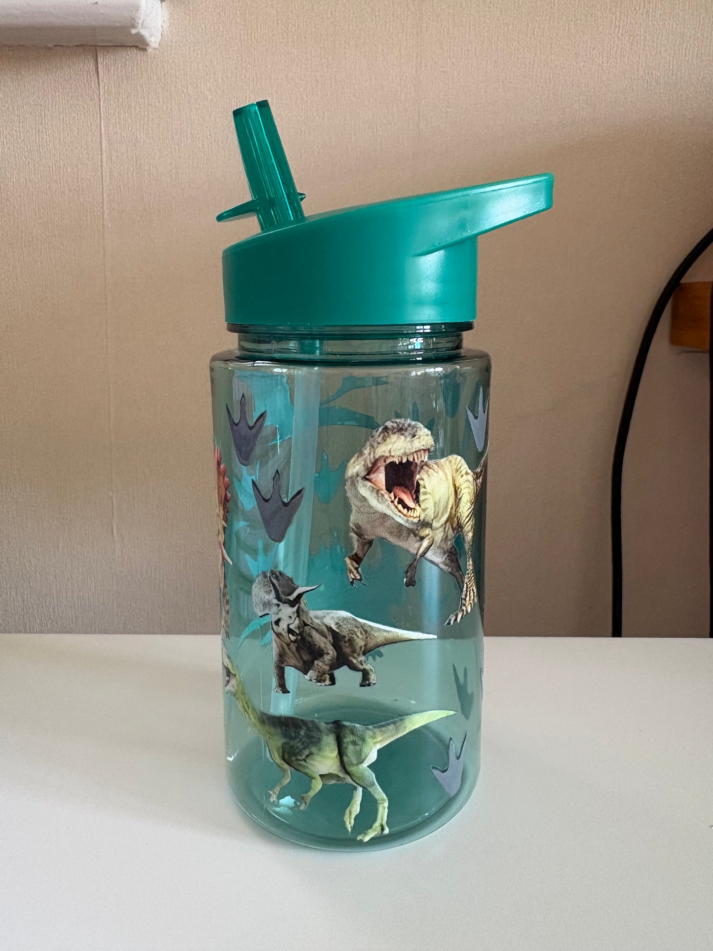 Kids Dinosaur Cup
