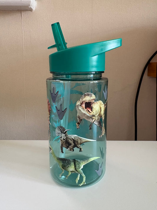 Kids Dinosaur Cup
